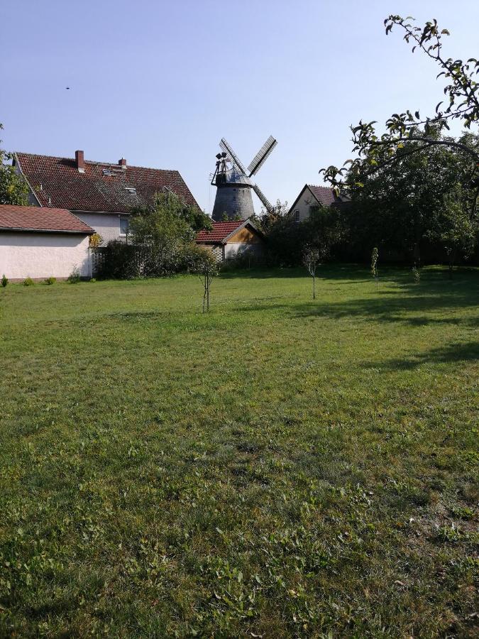 Wilhelm Spreewald Holiday home *